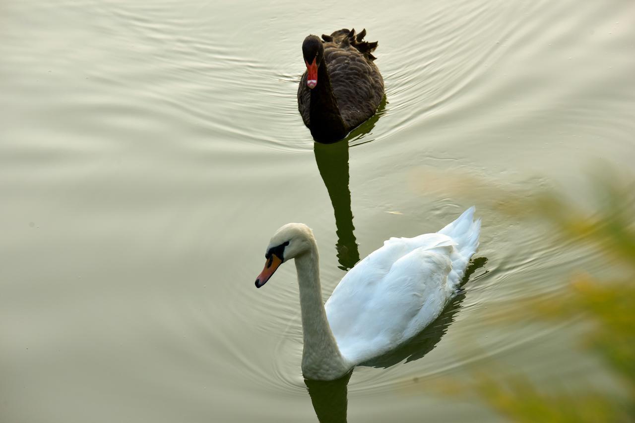 Lacul Verde Resort Ploieşti Esterno foto