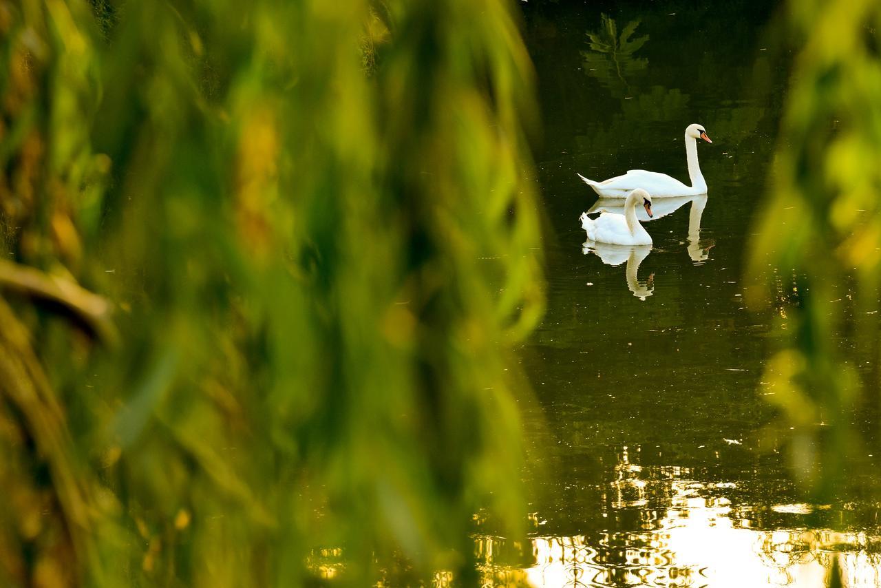 Lacul Verde Resort Ploieşti Esterno foto